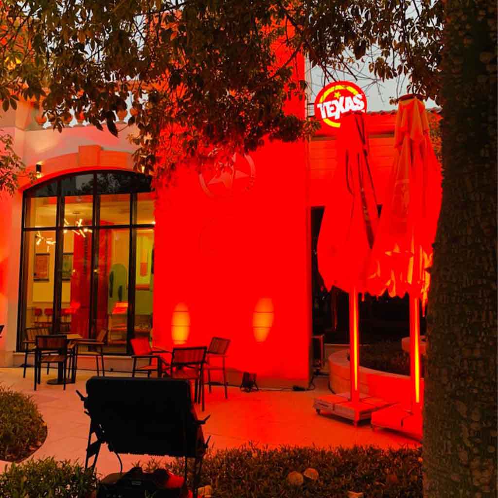 Texas-Chicken (5)